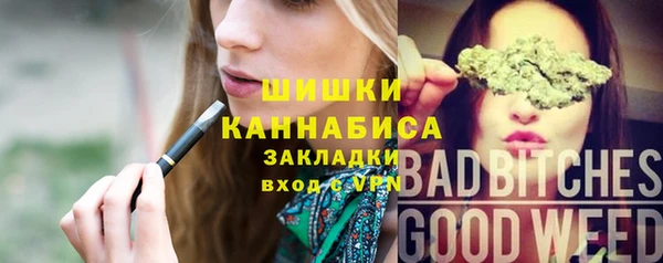 скорость Богородск
