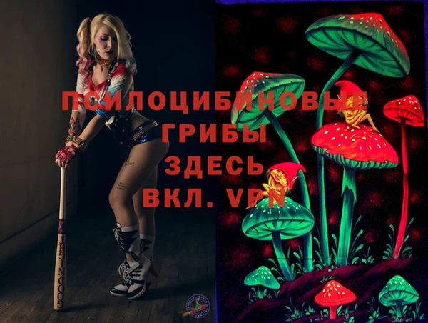 2c-b Богданович