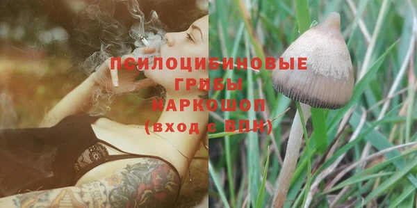 скорость Богородск