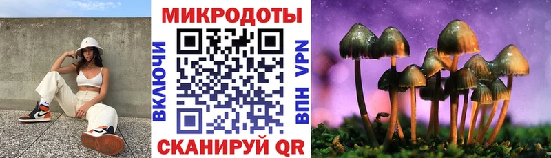 Псилоцибиновые грибы ЛСД  Купить  Малая Вишера 